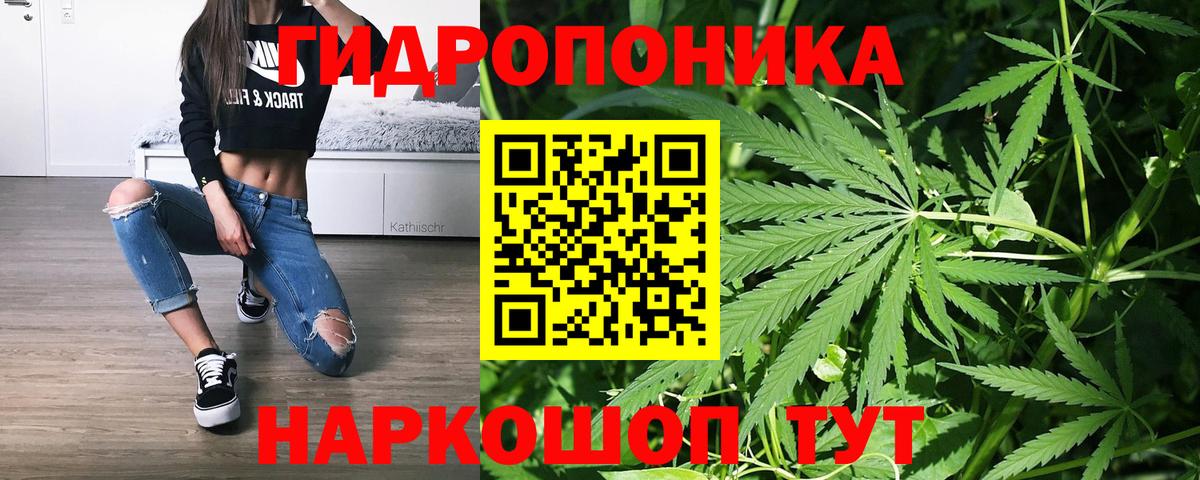 МАРИХУАНА гибрид Тольятти